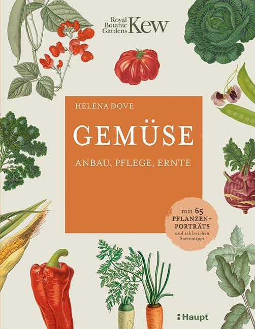 Buchcover: Gemüse