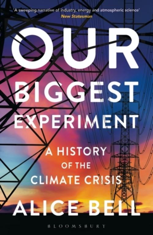 Buchcover: Our Biggest Experiment