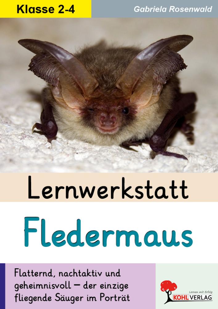 Lernwerkstatt Die Fledermaus
