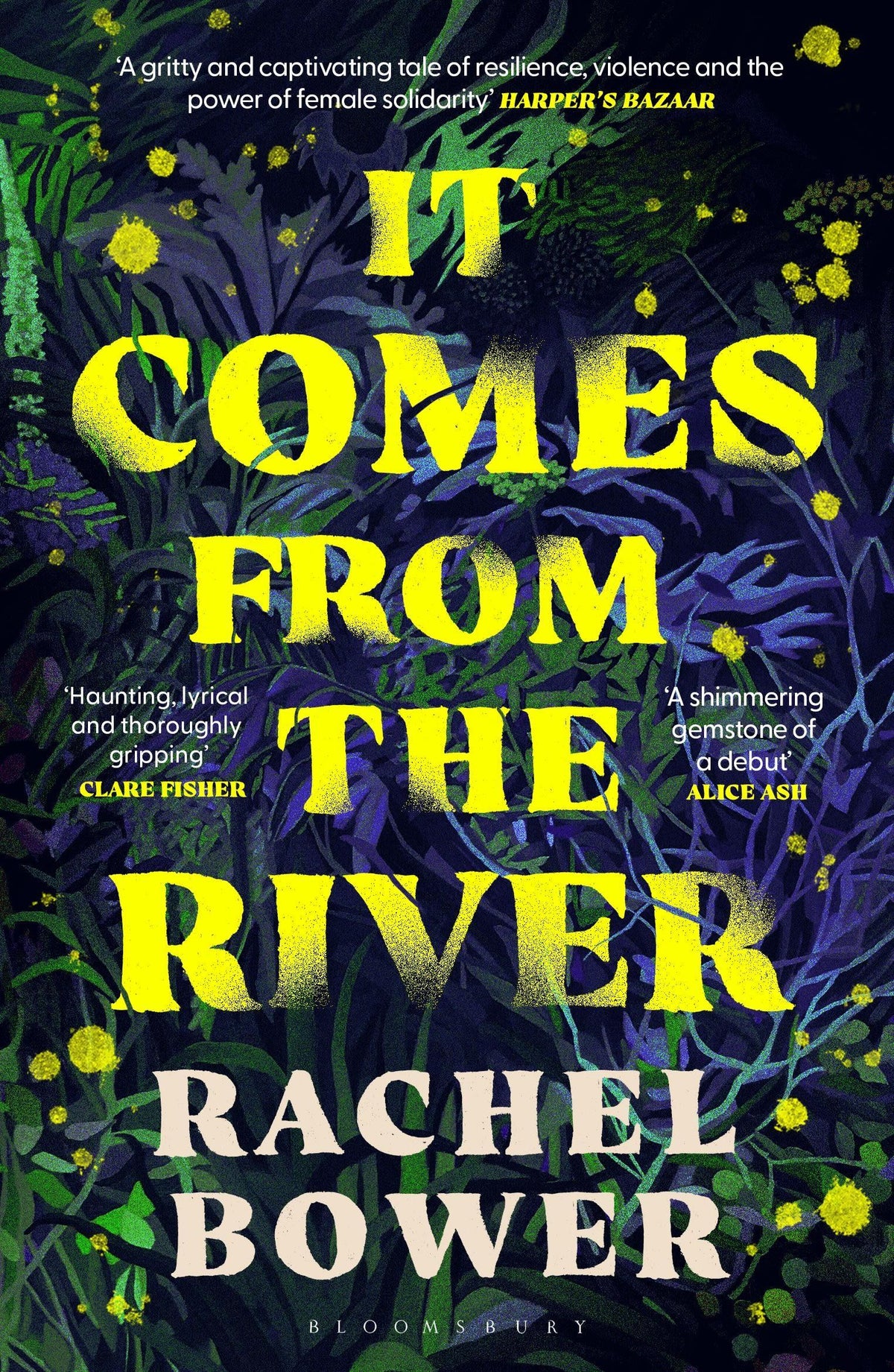 Buchcover: It Comes from the River