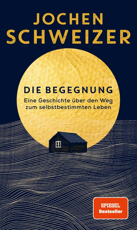 Buchcover: Die Begegnung