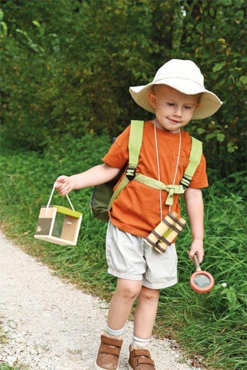 Buchcover: Insektenbox Discover