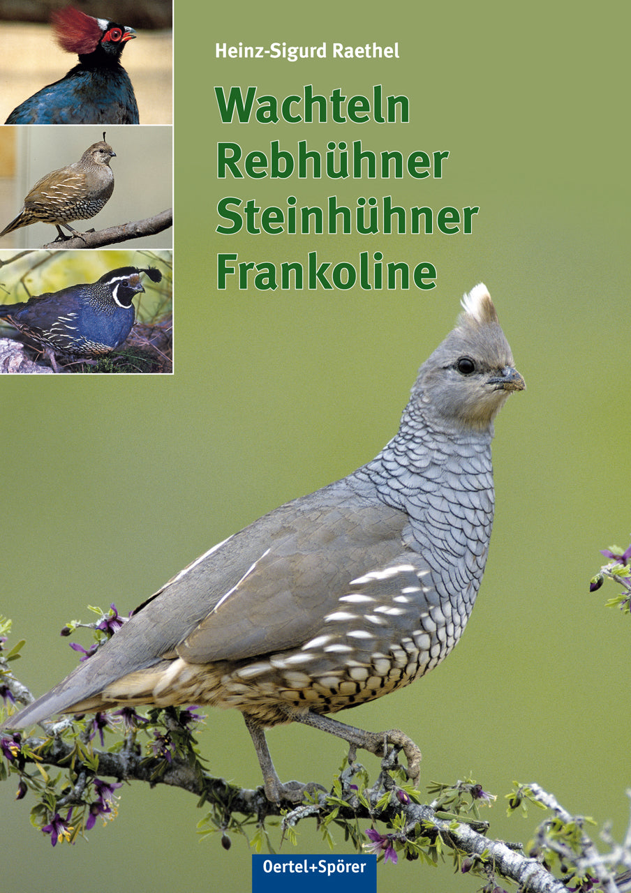 Buchcover: Wachteln, Rebhühner, Steinhühner, Frankoline