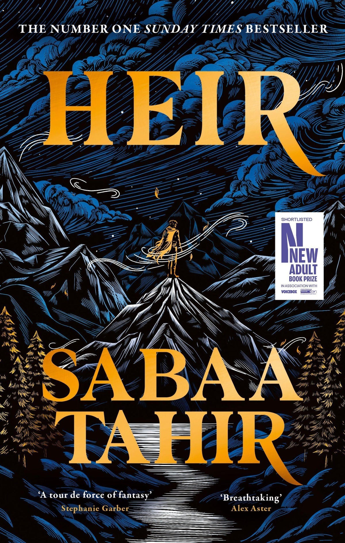 Buchcover: Heir