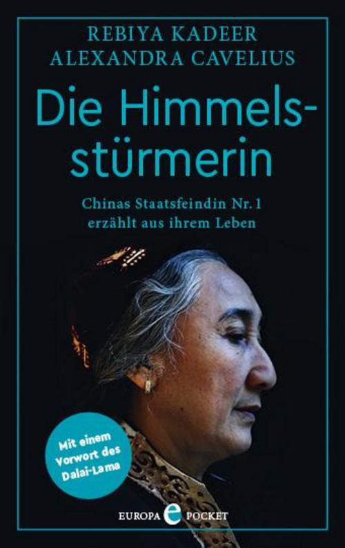 Buchcover: Die Himmelsstürmerin