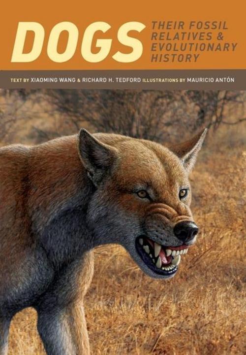 Buchcover: Dogs