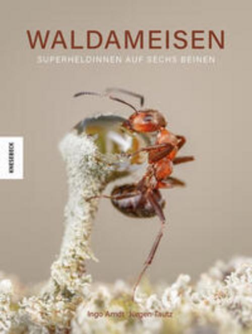 Waldameisen: Superheldinnen auf sechs Beinen. Naturfotografie-Bildband mit einmaligen Einblicken in das Leben der Insekten