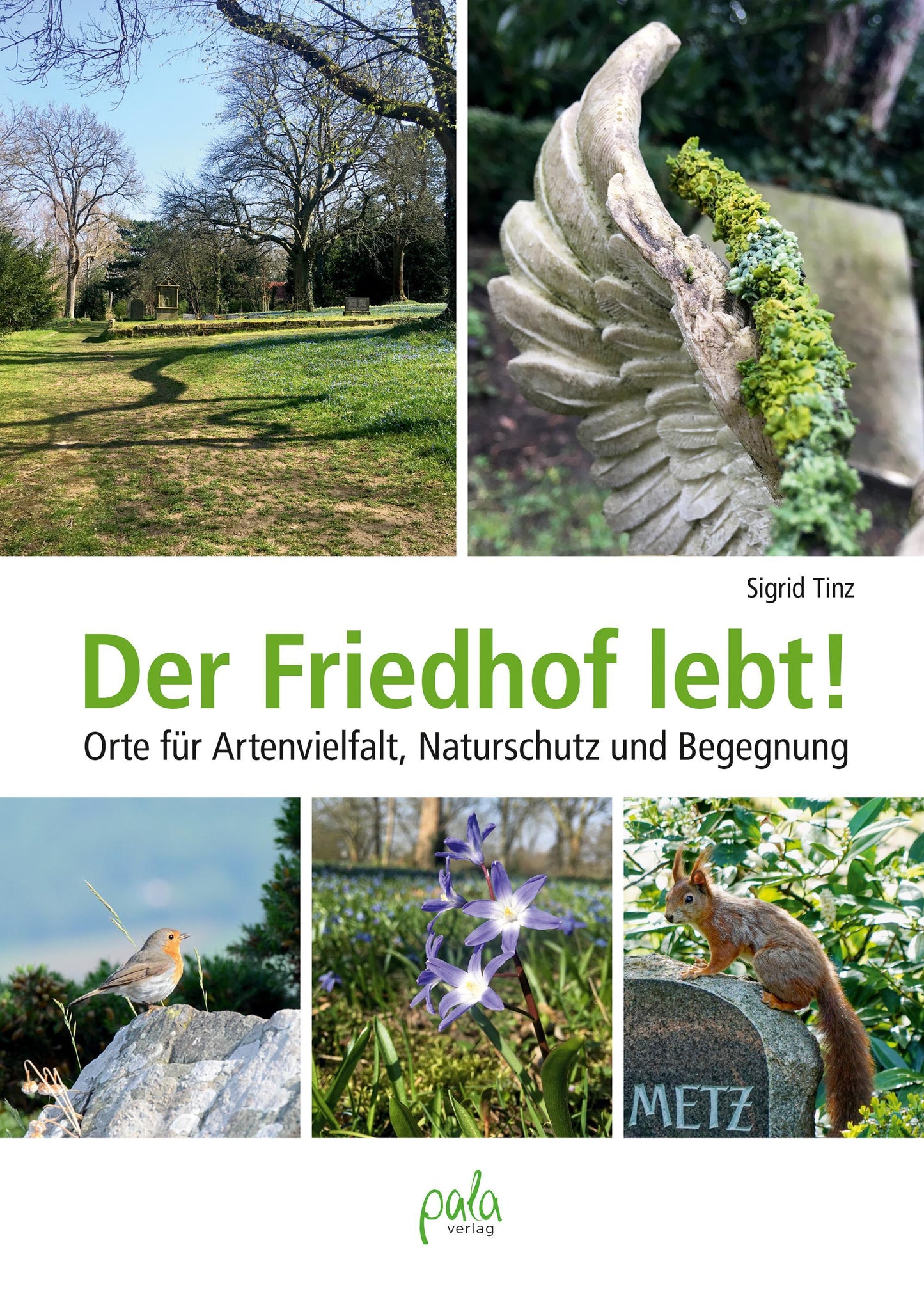 Buchcover: Der Friedhof lebt!