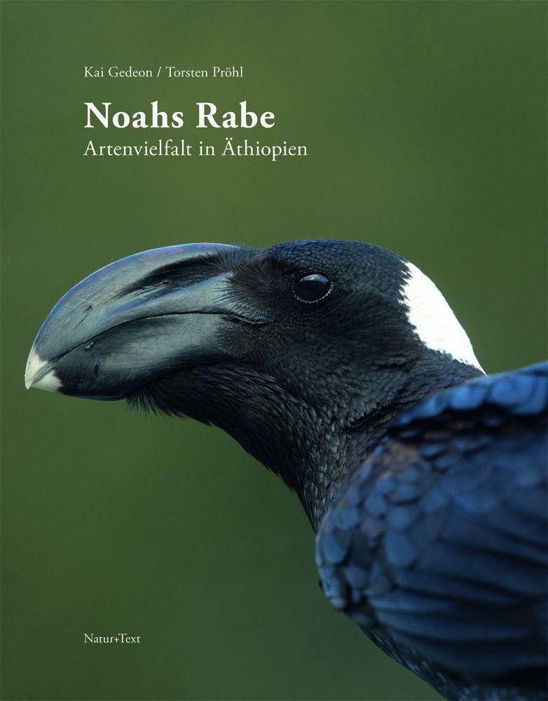 Buchcover: Noahs Rabe