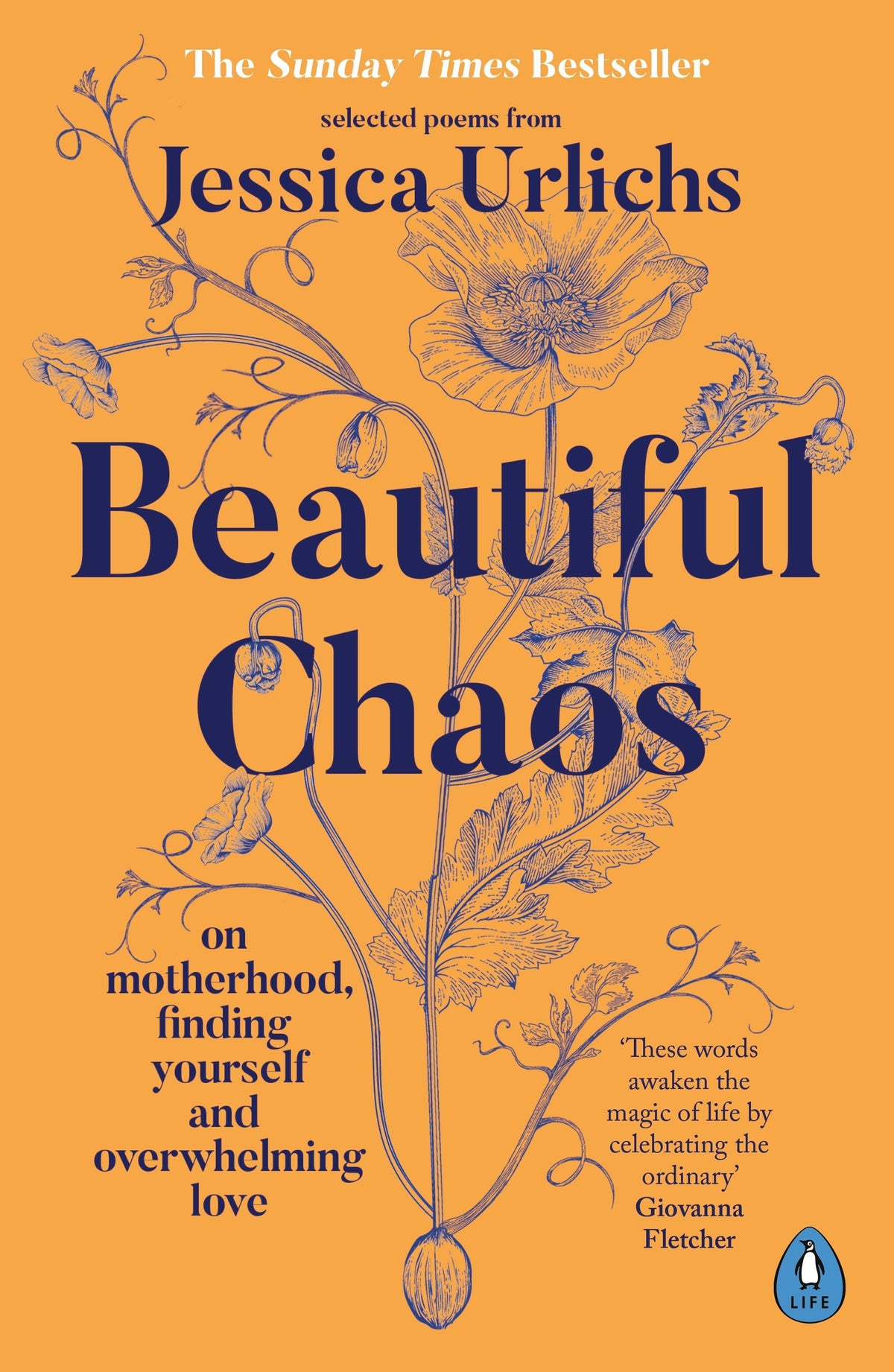 Buchcover: Beautiful Chaos
