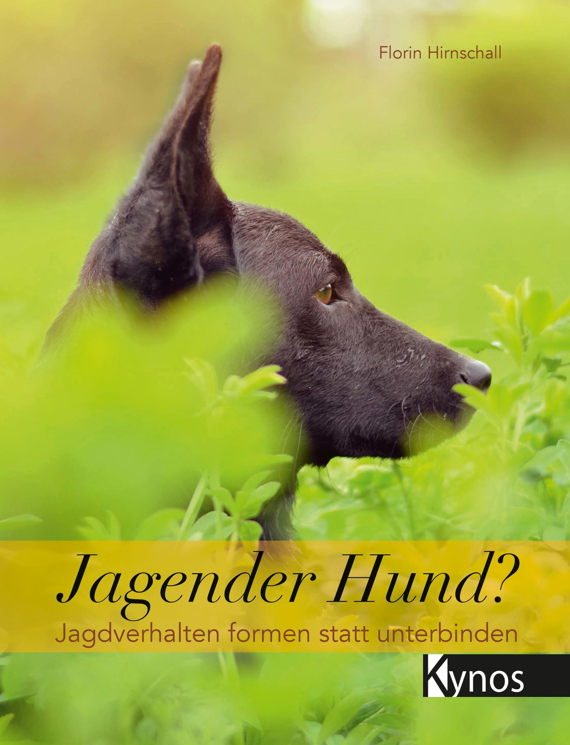 Buchcover: Jagender Hund?