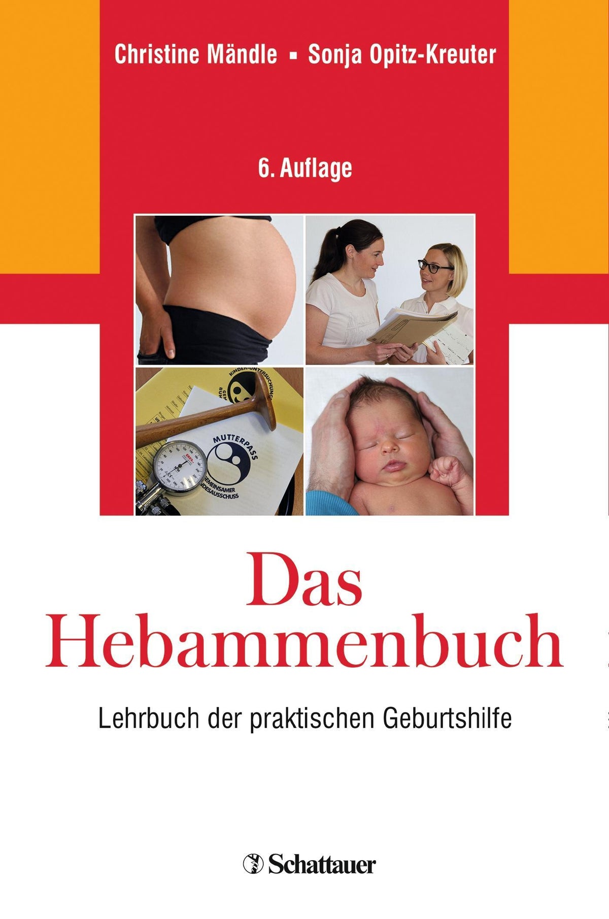 Buchcover: Das Hebammenbuch