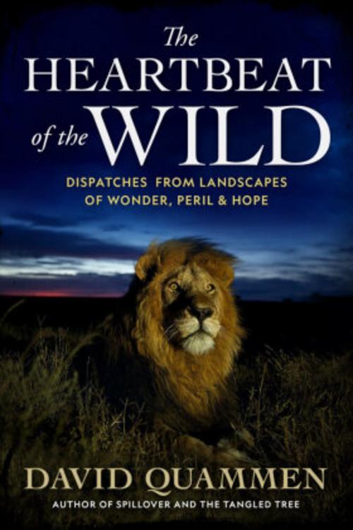 Buchcover: The Heartbeat of the Wild