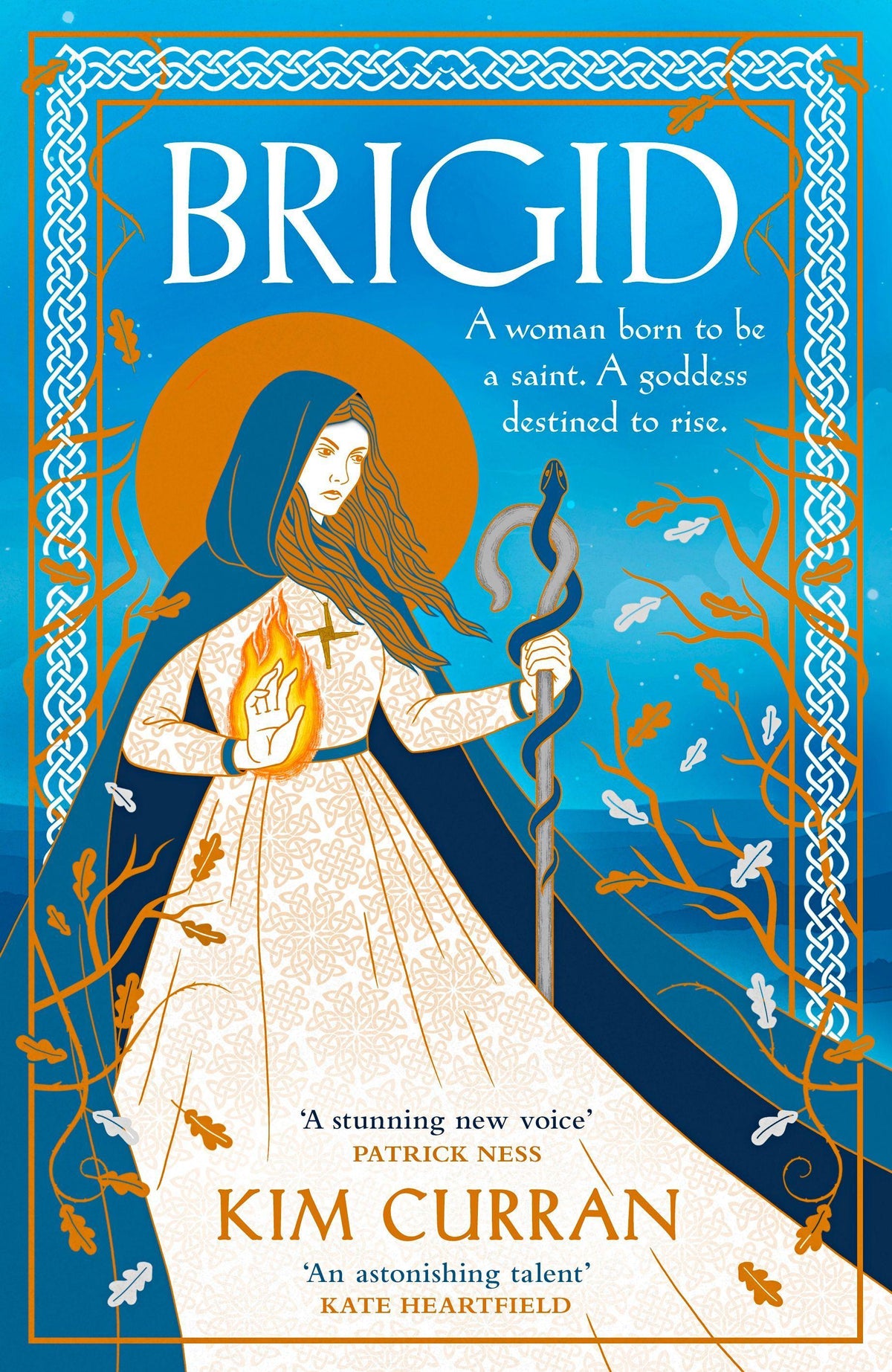 Buchcover: Brigid