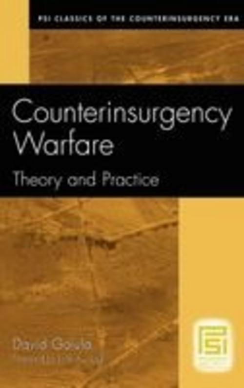 Buchcover: Counterinsurgency Warfare