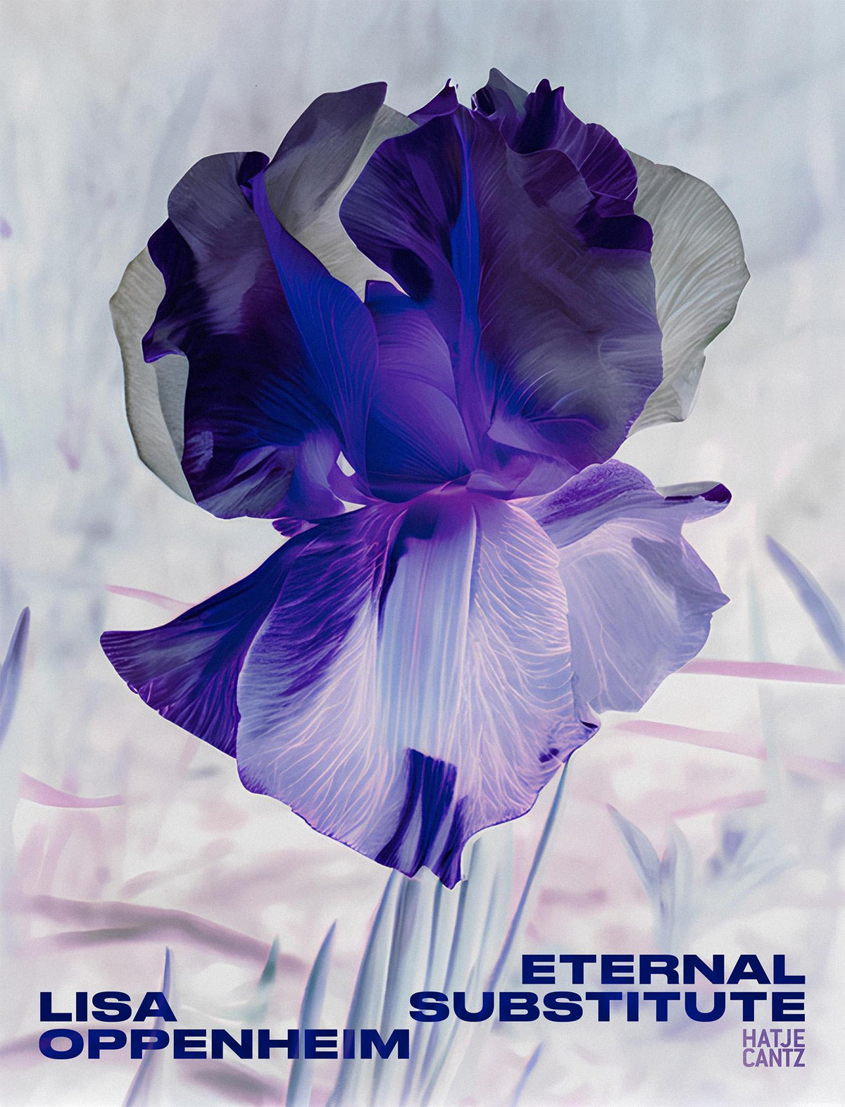 Buchcover: Lisa Oppenheim: The Eternal Substitute