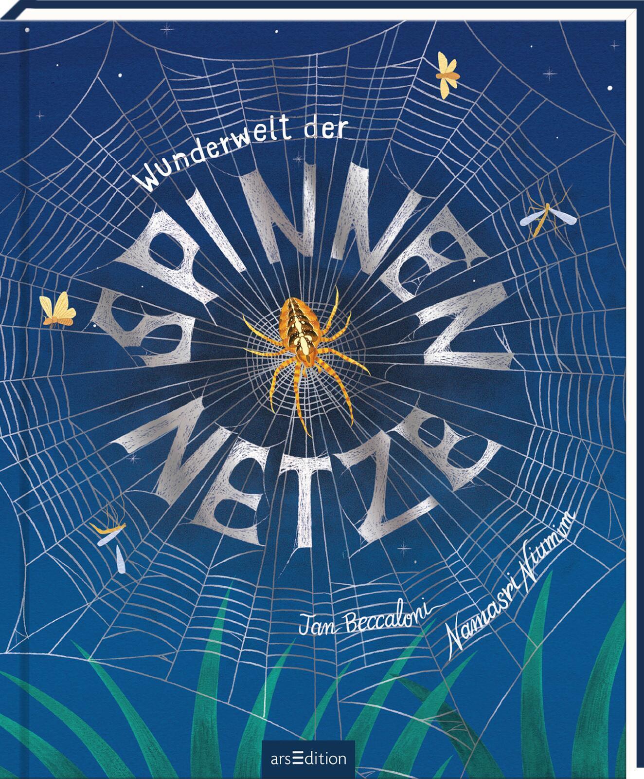 Wunderwelt der Spinnennetze