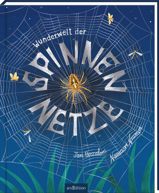 Wunderwelt der Spinnennetze