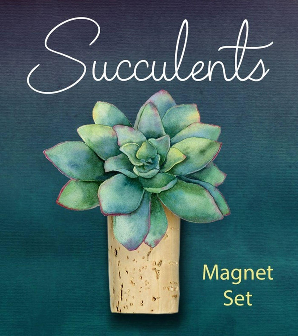 Buchcover: Moore, J: Succulents Magnet Set