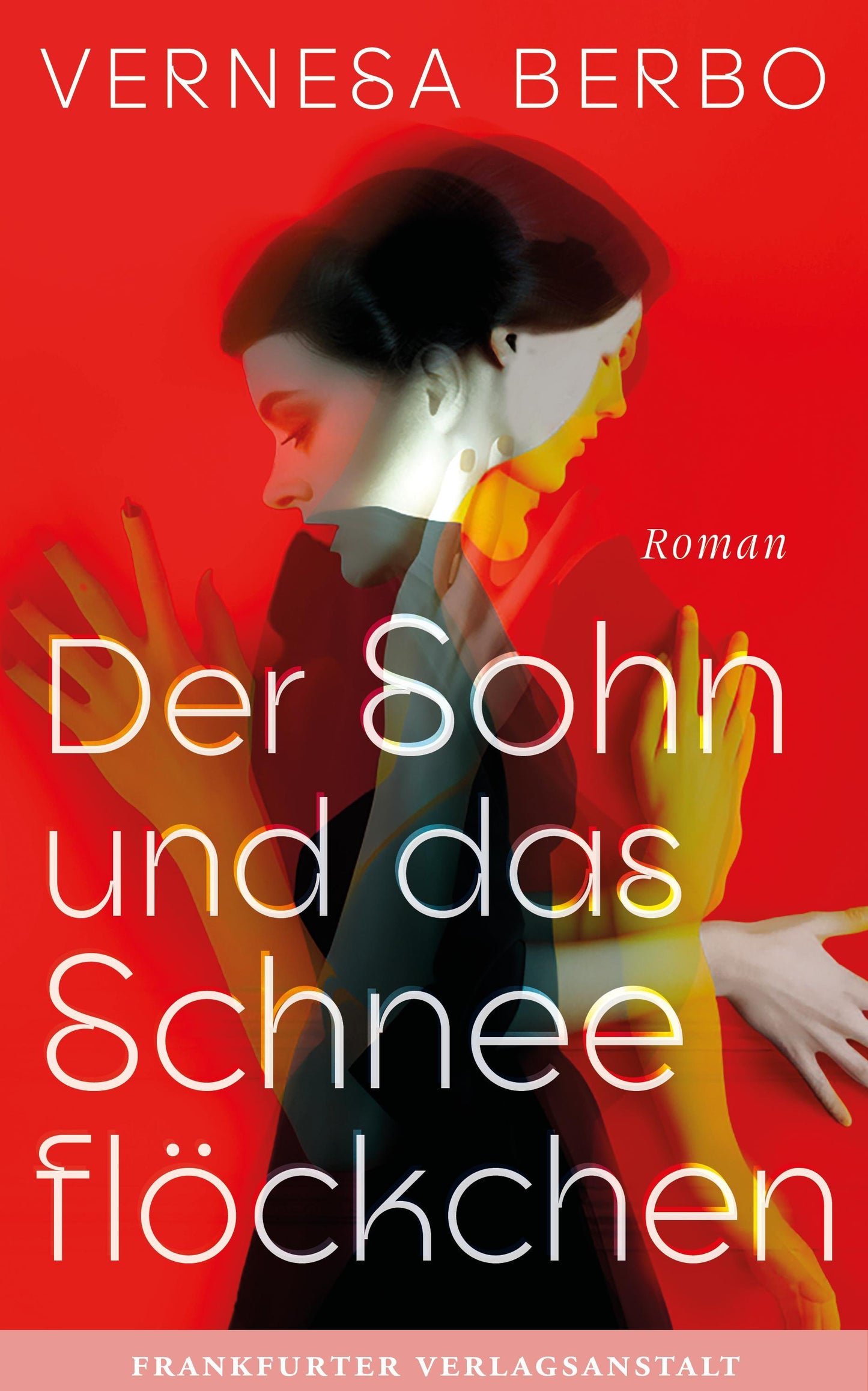Der Sohn und das Schneeflöckchen: »Ein Roman gegen den Krieg und für die Liebe. Ein großes Glück!« Saša Stanišić: 'Ein Roman gegen den Krieg und für ... Sa a Stani ic (Debütromane in der FVA)