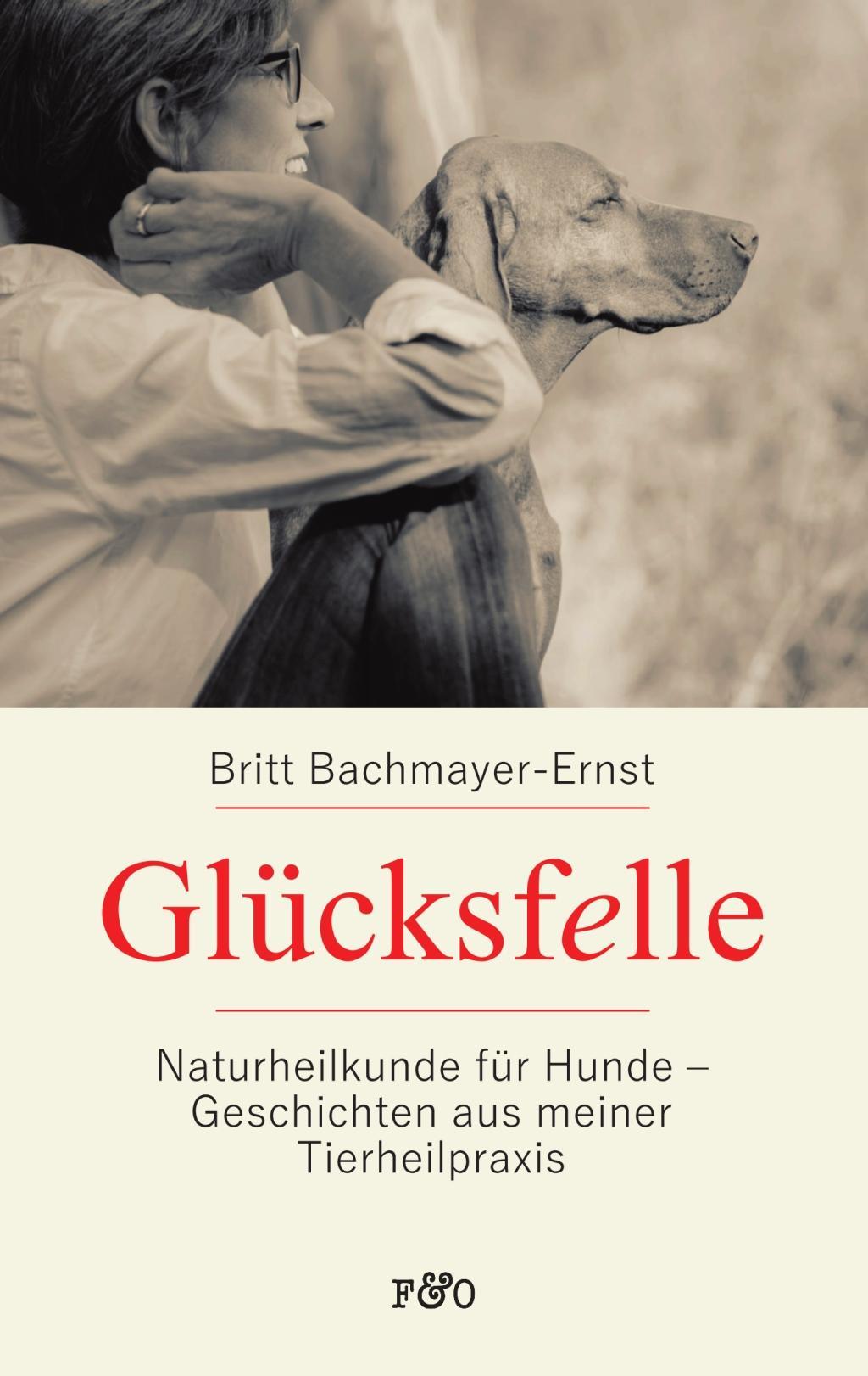 Buchcover: Glücksfelle