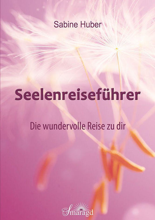 Buchcover: Seelenreiseführer