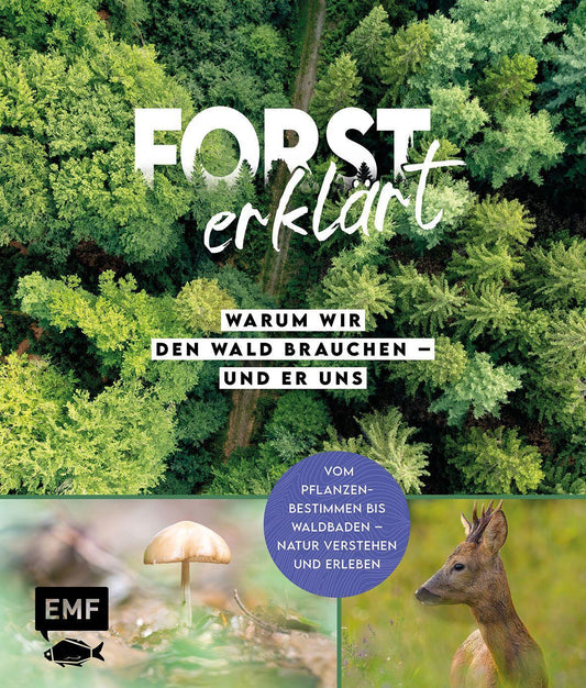 Forst erklärt: Warum wir den Wald brauchen - und er uns
