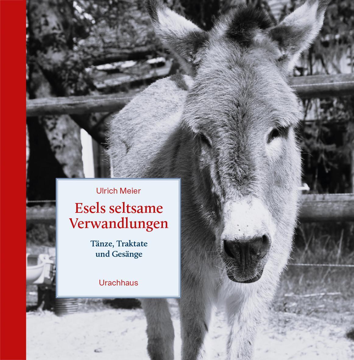 Esels seltsame Verwandlungen