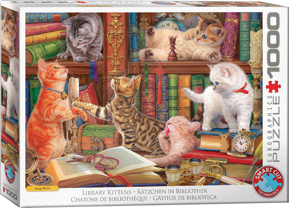 Kätzchen in Bibliothek