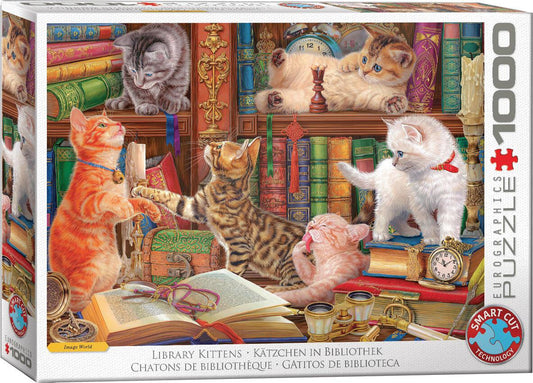 Kätzchen in Bibliothek