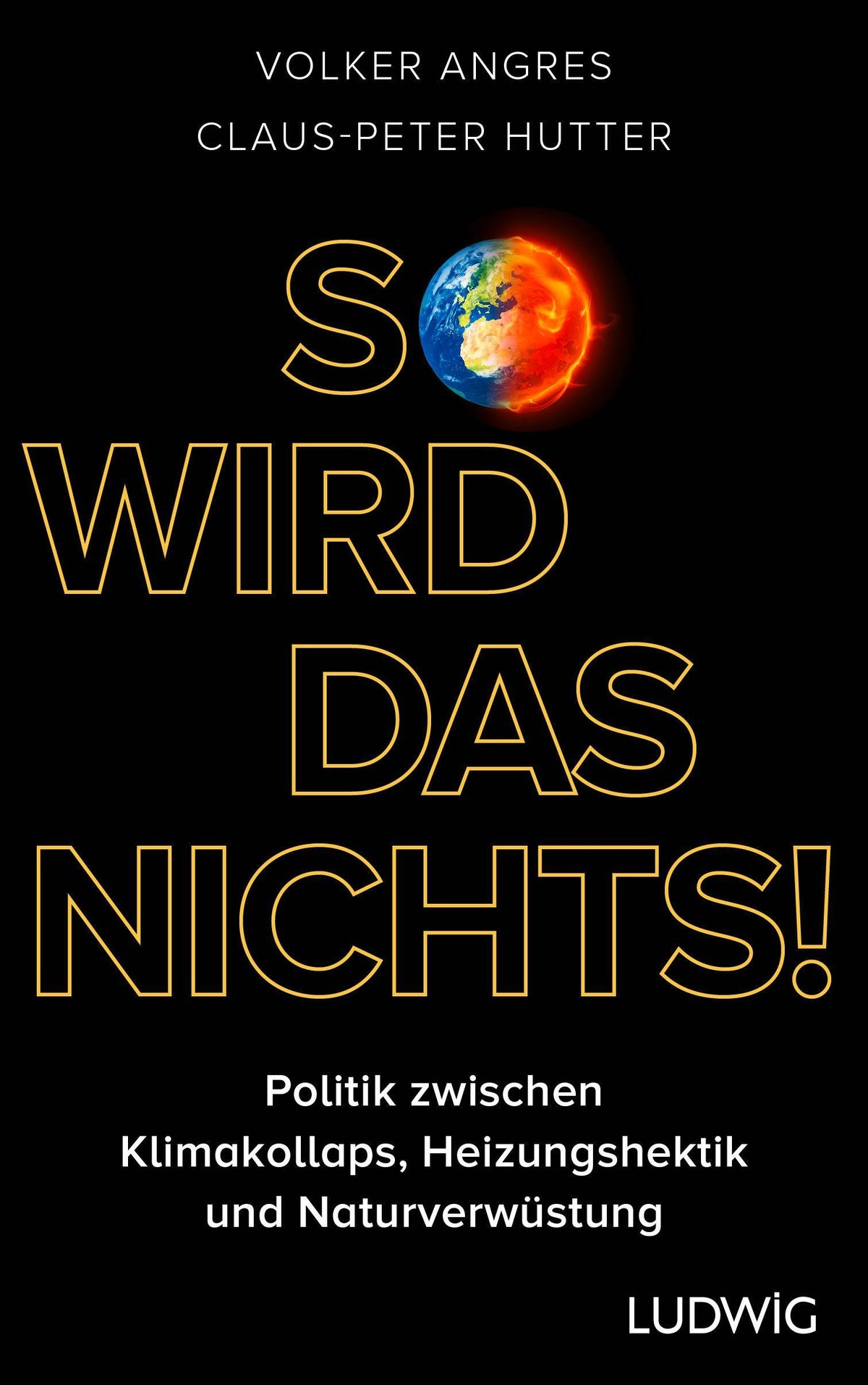 Buchcover: So wird das nichts!