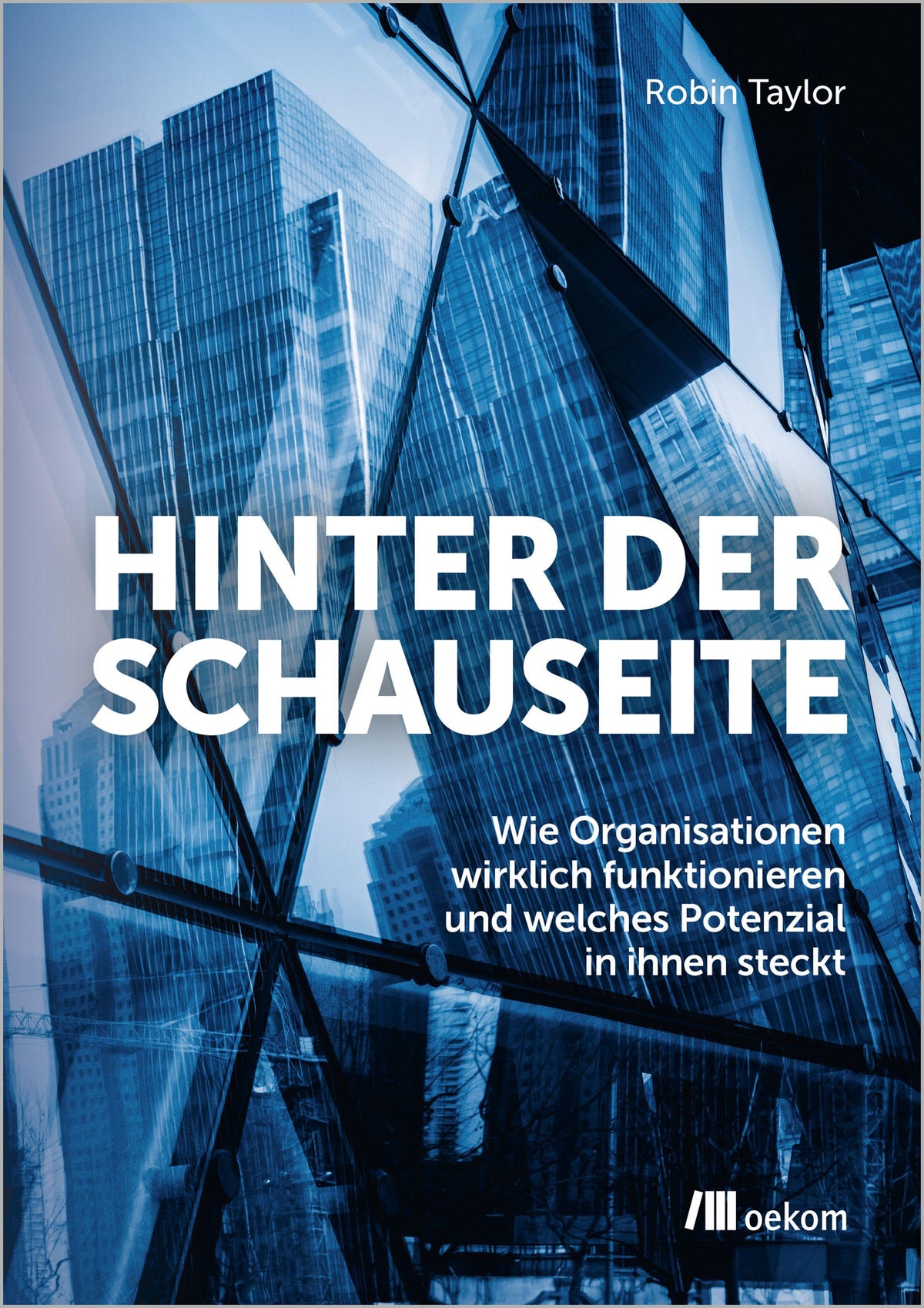 Buchcover: Hinter der Schauseite