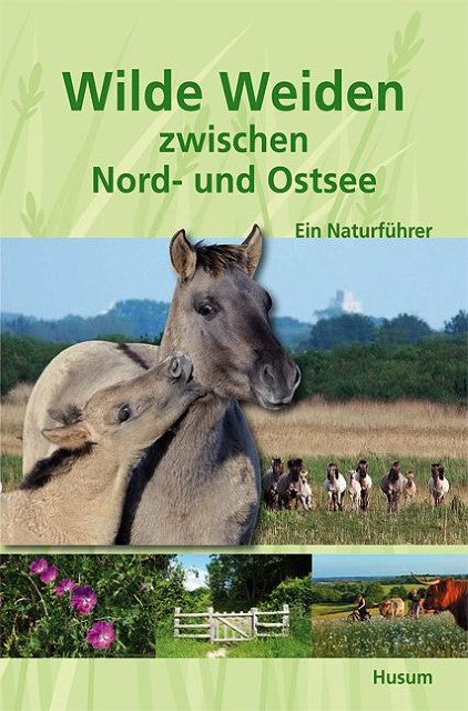 Wilde Weiden zwischen Nord- und Ostsee