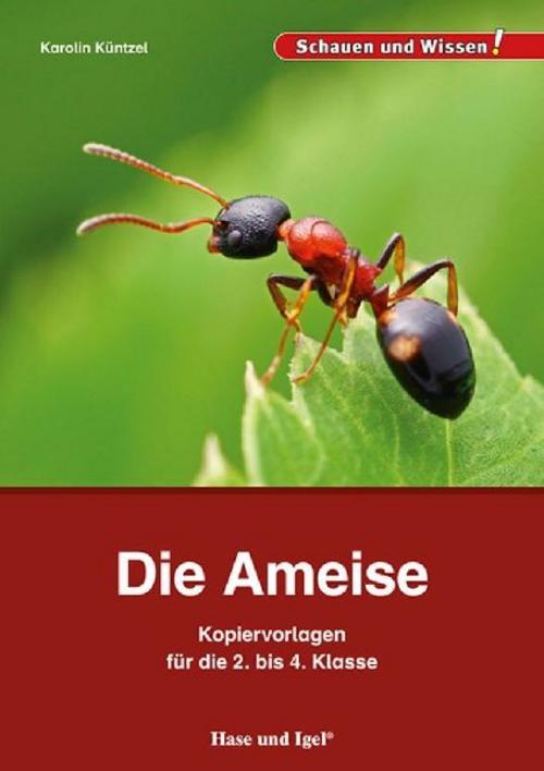 Die Ameise - Kopiervorlagen für die 2. bis 4. Klasse