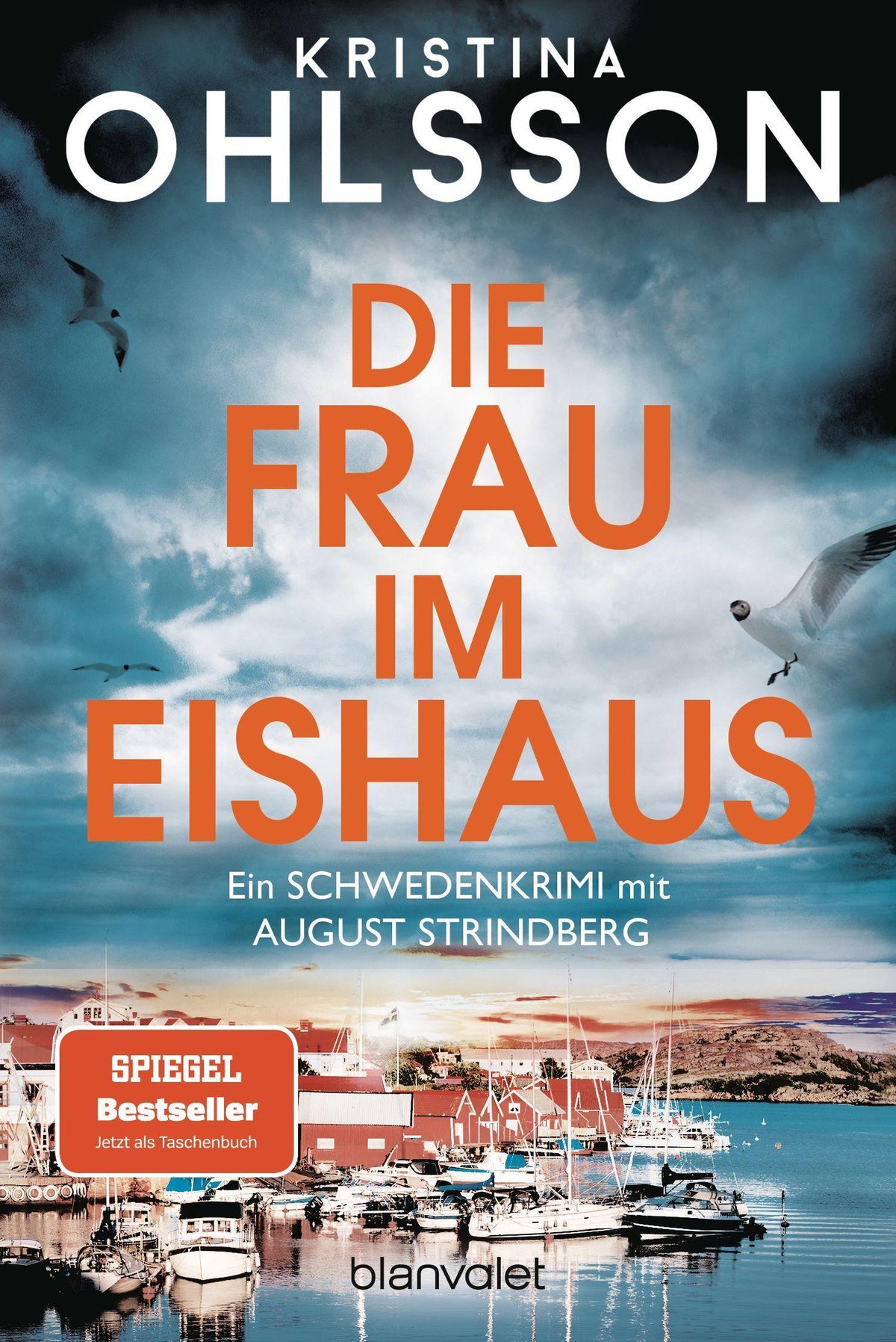 Buchcover: Die Frau im Eishaus
