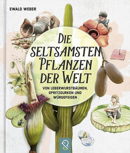 Weber, Ewald/Die seltsamsten Pflanzen der Welt