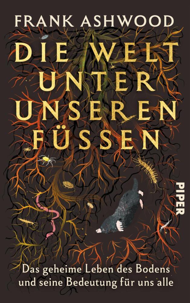 Ashwood, Frank/Die Welt unter unseren Füßen