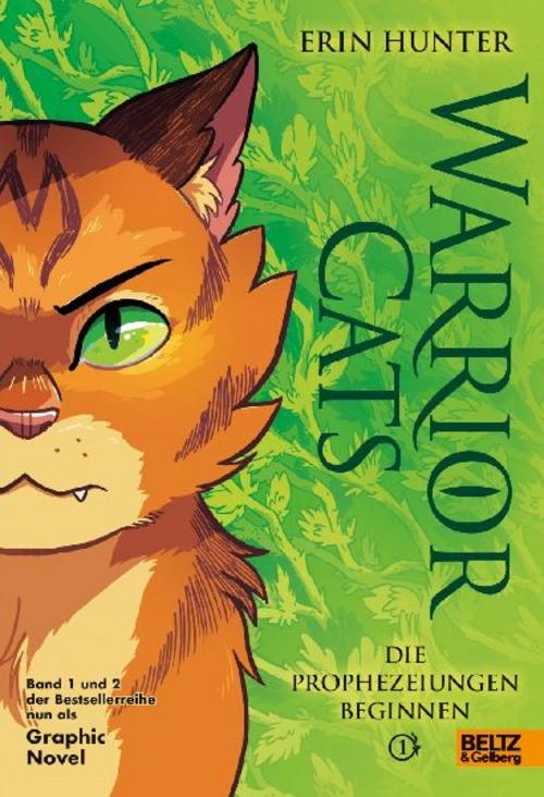 Warrior Cats - Die Prophezeiungen beginnen: Graphic Novel 1