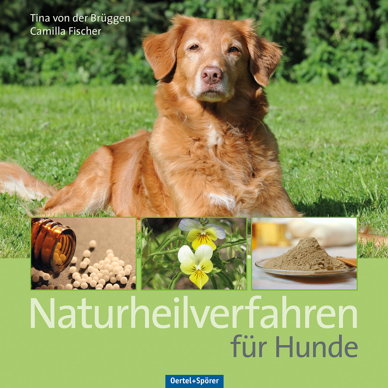 Buchcover: Naturheilverfahren für Hunde