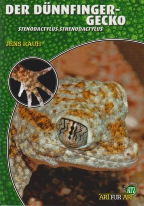 Buchcover: Der Dünnfingergecko