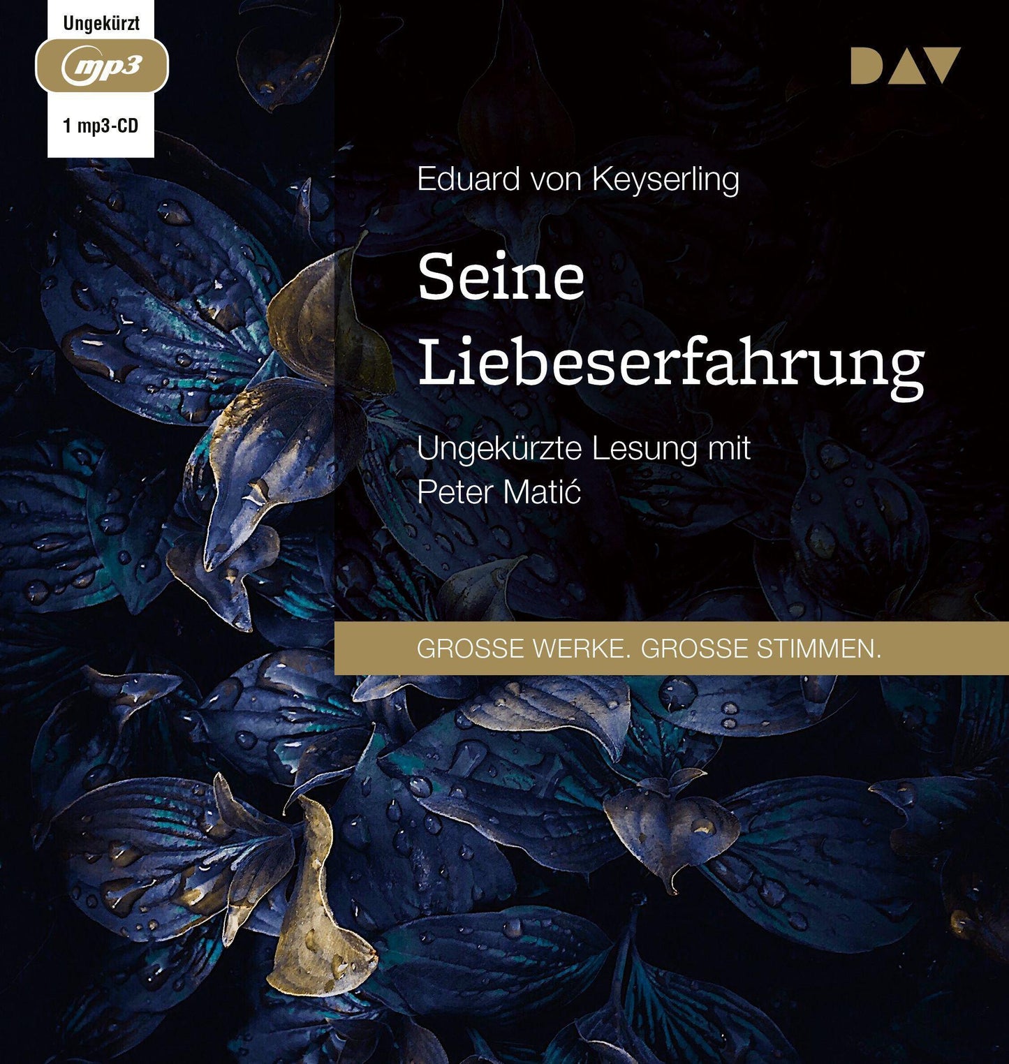 Seine Liebeserfahrung,1 Audio-CD, 1 MP3