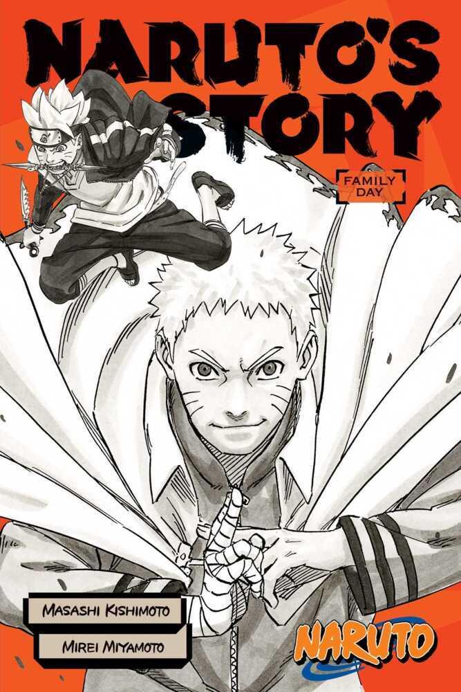 Buchcover: Naruto: Naruto's Story--Family Day