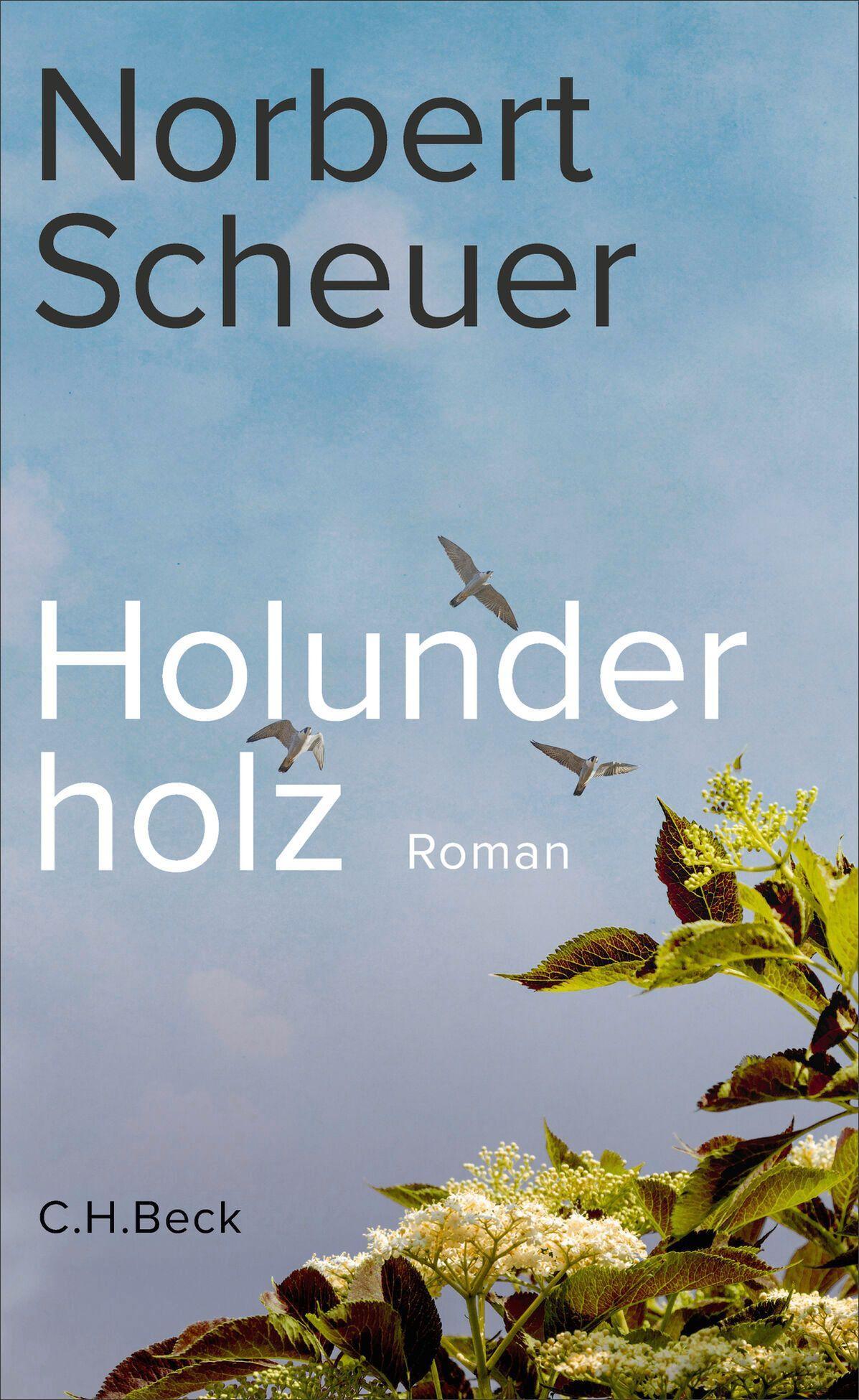 Holunderholz: Roman