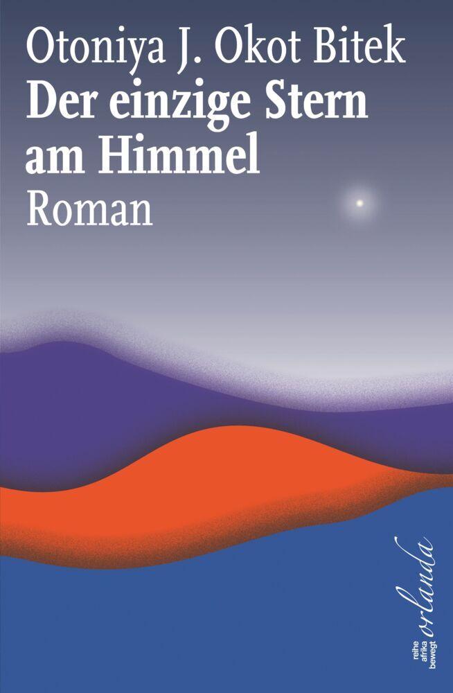 Der einzige Stern am Himmel: Roman (afrika bewegt)