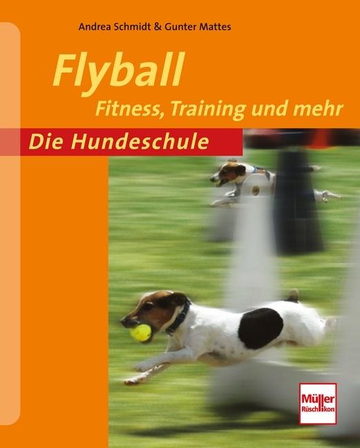 Buchcover: Flyball