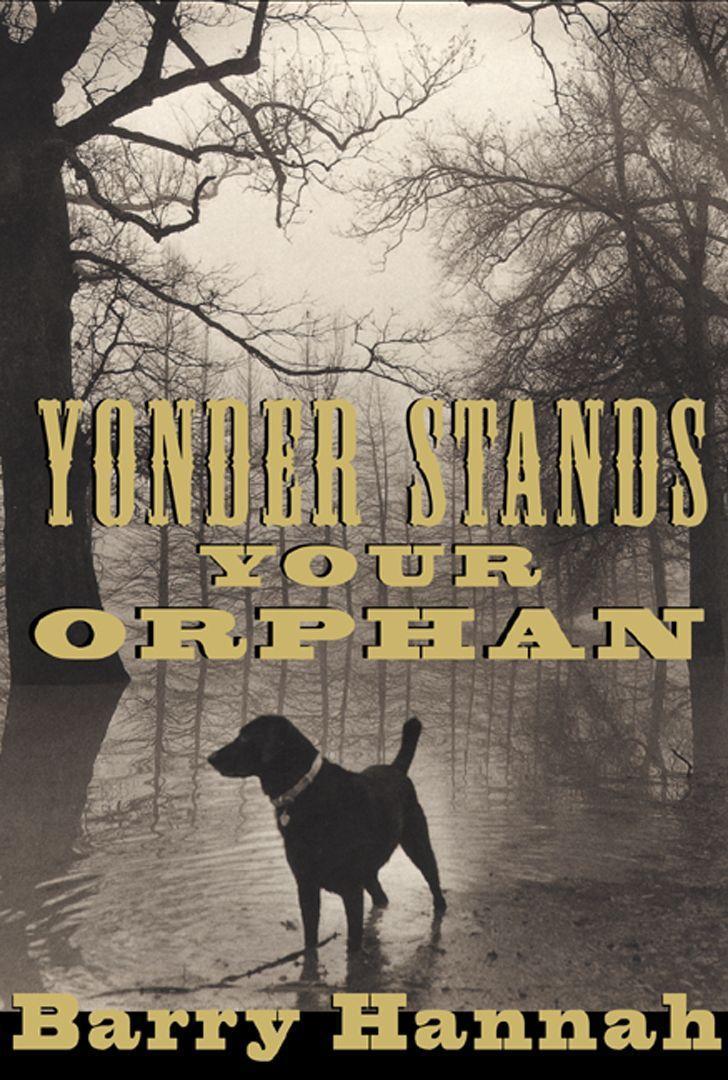 Buchcover: Yonder Stands Your Orphan