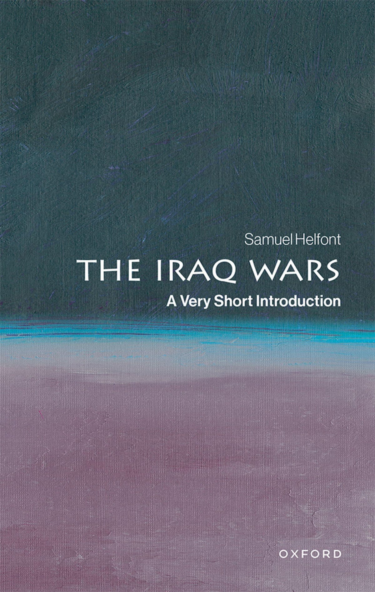 Buchcover: The Iraq Wars