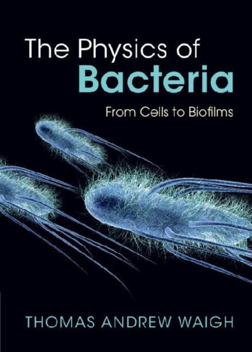 Buchcover: The Physics of Bacteria