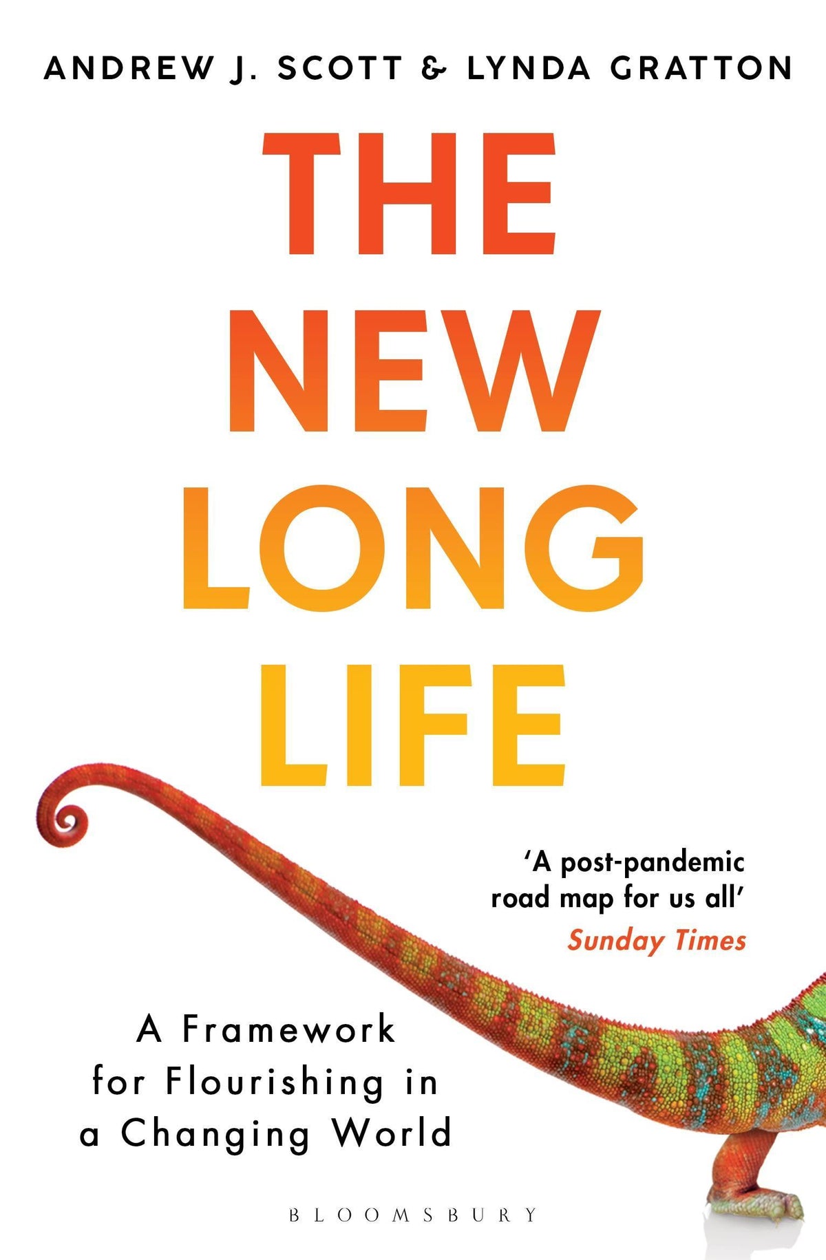 Buchcover: The New Long Life