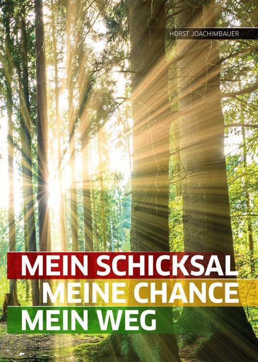 Buchcover: Mein Schicksal, meine Chance, mein Weg